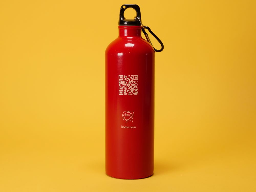 hydrogen bottle back