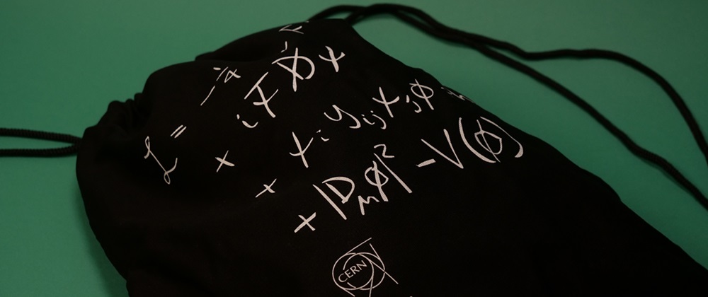 Standard Model drawstring bag