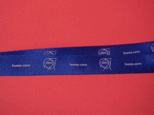 Lanyard