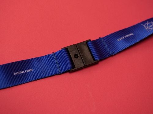 Lanyard